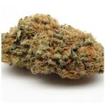 Шишки AK47 (Гидропоника, Бошка) VHQ в Богородске Шишки AK47 (Гидропоника, Бошка) VHQ в Богородске